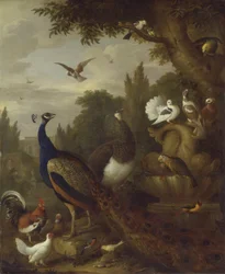 Pfau, Pfauhenne, Papageien, Kanarienvogel und andere Vögel in einem Park, ca. 1708-10