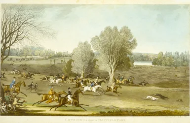 Hasenjagd - Eine Ansicht des Hatfield Parks, graviert von James Pollard