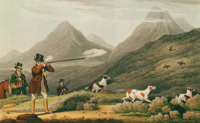 Jagd auf Moorhühner