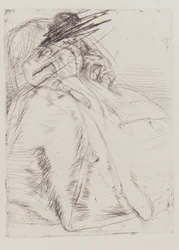 Das offene Buch, 1861