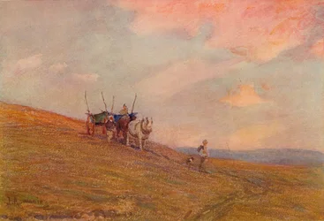 Auf den Downs in der Nähe von Harting, um 1870-1906, 1906