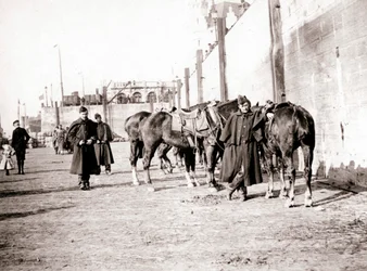 Reiter, Antwerpen, 1898