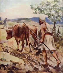 Pflügen in der Nähe von Nazareth