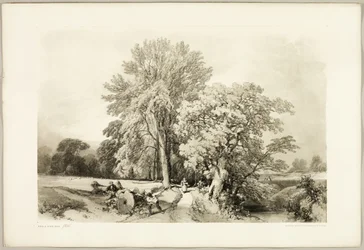 Esche und Eiche, aus Der Park und der Wald