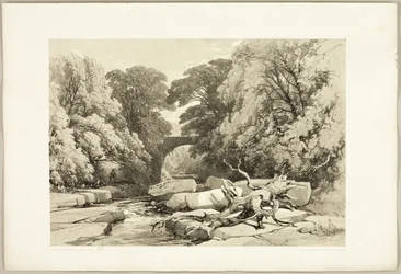 Esche und Erle an der Greta, aus Der Park und der Wald