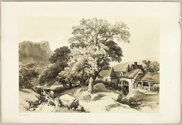 Esche und Eiche, aus The Park and the Forest