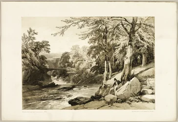 Buche und Esche an der Greta, aus Der Park und der Wald