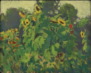 Sonnenblumen, Thornhill