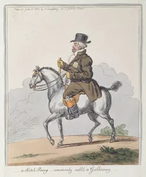 Ein schottisches Pony, allgemein Galloway genannt, veröffentlicht von Hannah Humphrey im Jahr 1803