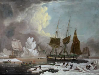 Hull Walfänger, "Harmony"