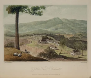 Golden Vale, Portland