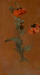 Studie von Mohnblumen, 1832