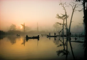 Oktobersonne vertreibt den Morgennebel über dem Alligator Bayou im Louisiana-Delta...