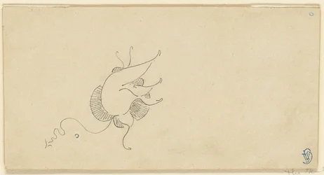 Schmetterling