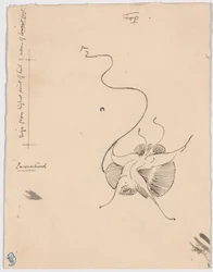 Schmetterling (recto); Skizze für Schlussvignette (verso)