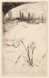 Skizze nach Cecil Lawsons "Schwan und Iris"