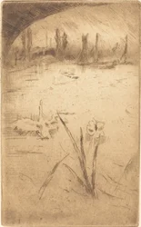 Schwan und Iris