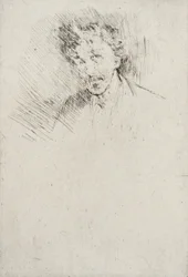 Whistler mit der weißen Haarsträhne