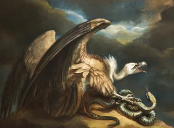 Geier und Schlange, 1798