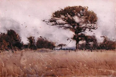 Wind