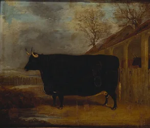 Ein schwarzer Stier steht neben einem Kuhstall, eine weite Landschaft dahinter