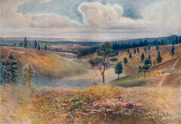 Blick vom Beacon Hill, Hindhead, 1911, 1914