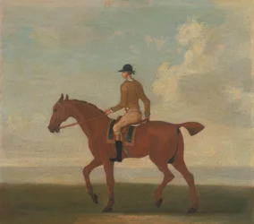 Eines von vier Pferdeporträts - ein kastanienbraunes Rennpferd mit Jockey: nach links gehend; Jockey in gelber Jacke