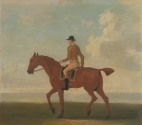Eines von vier Pferdeporträts - ein Kastanienbraunes Rennpferd mit Jockey: gehend nach links; Jockey in gelber Jacke