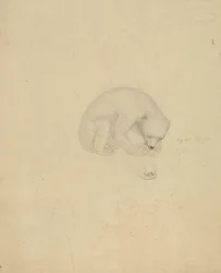 Ein Bär