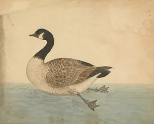 Eine Gans