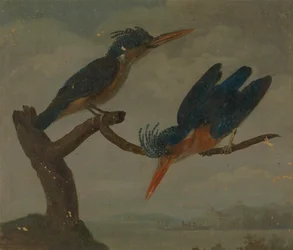 Zwei Eisvögel an einem See