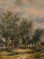 Ein Weg in der Nähe von Norwich