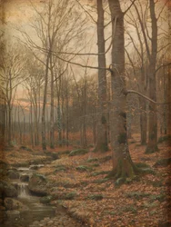 Winter im Wald, Betws-y-Coed