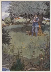 Illustration für 