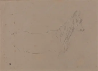 Eine Stute, möglicherweise eine Studie für "L