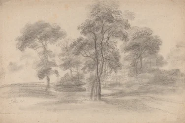 Landschaft mit Bäumen