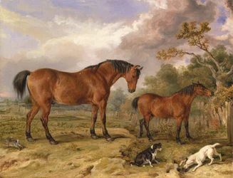 Porträt von Reformer, Blucher, Tory und Crib, Eigentum von Rowland Alston, Esq., M.P. [1836, Royal Academy of Arts, London, Ausstellungskatalog]