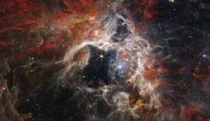 Eine kosmische Tarantel