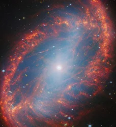 Ein genauer Blick auf eine lokale Galaxie (NGC 2566)