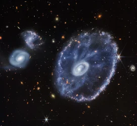 Cartwheel-Galaxie (nur NIRCam)