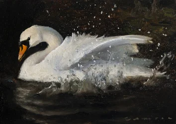 Tanzender Schwan