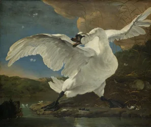 Der bedrohte Schwan, ca. 1650