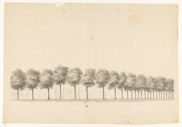 Baumallee in Batavia