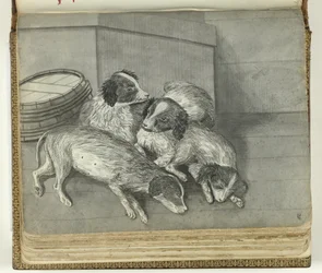 Hunde