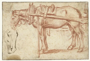 Pferd vor einem Wagen und ein Pferdekopf