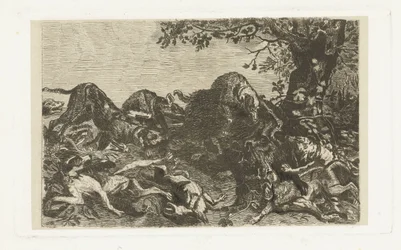 Hundejagd auf ein Wildschwein