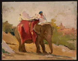 Chittorgarh - mein Elefant. Von einer Reise nach Indien