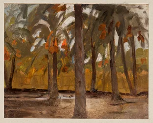 Ägyptischer Palmenwald. Von einer Reise nach Ägypten
