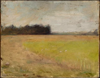 Landschaft aus Finnland (?)