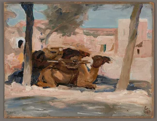 Kamel. Von der Reise nach Palästina